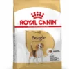 Royal Canin Beagle Adult Pour Chien 3kg