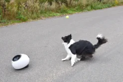 Flamingo Jouet Chien Elton Interactif Distributeur Automatique De Friandises+balles De Tennis 33x24x29cm -Magasin De Fournitures Pour Animaux Et Chiens De Qualité cbb3ba05b8066ea246a2bc1a26978531b6e24a1e3315a5847be7e78fa7441235 scaled