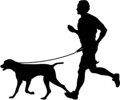 Flamingo Laisse Pour Le Jogging + Ceinture Ventrale Diran M Laisse 103cm / Ceinture 76-100cm -Magasin De Fournitures Pour Animaux Et Chiens De Qualité da7d80a9ae54946c176a21990f7929494178f0e37f996d778a81f726da1aff06