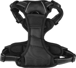 Flamingo Harnais Balou Noir M 50-65cm 25mm -Magasin De Fournitures Pour Animaux Et Chiens De Qualité db74bc593781bbe2b1c5e052c0c8b2d59ac32999242552d436385f3178c11370