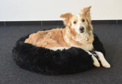 Flamingo Panier Krems Rond Noir 70cm -Magasin De Fournitures Pour Animaux Et Chiens De Qualité dd063b37f56b55a2d2881154a00697cfb0927245ac2924ff515d6864bc0f3c70 scaled