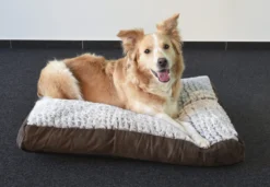 Flamingo Coussin Snoozzy Rectangulaire Fermeture Eclair Brun 80x55x10cm -Magasin De Fournitures Pour Animaux Et Chiens De Qualité ddebe20b0518f8cb1ab97d70c10ffd70611da800dd60a449d444ba58ea18165f scaled