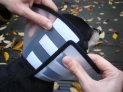 Flamingo Carcan Capo 31,5cm 10 Flamingo Carcan Capo 31,5cm -Magasin De Fournitures Pour Animaux Et Chiens De Qualité e2578f0de7dfac1a438fa05f0c616aa46fff5514395f242304922963edc56053