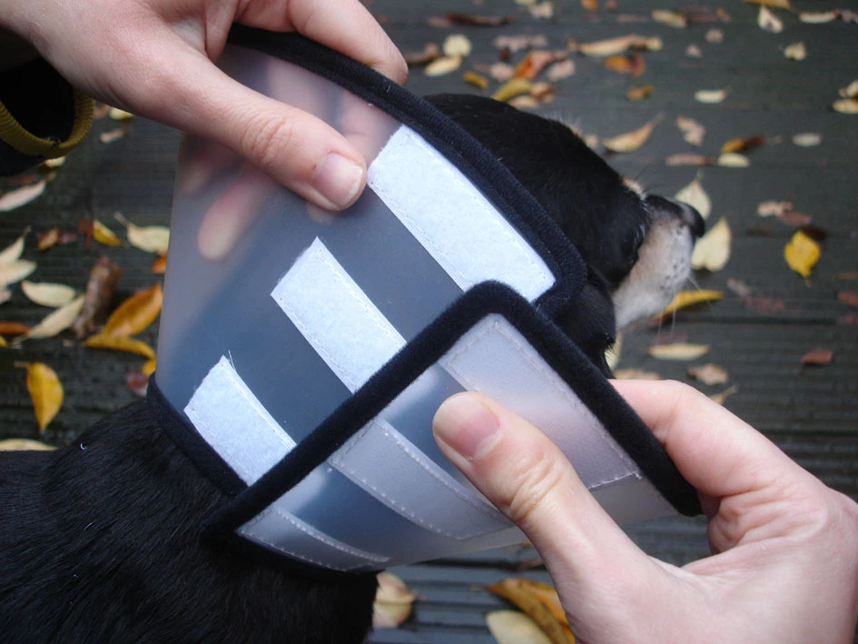 Flamingo Carcan Capo 31,5cm 4 Flamingo Carcan Capo 31,5cm – Image 4