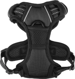 Flamingo Harnais Balou Noir XS 30-45cm 15mm 7 Flamingo Harnais Balou Noir XS 30-45cm 15mm -Magasin De Fournitures Pour Animaux Et Chiens De Qualité f1c4025eaddcec509c183d98ac677ea3557627f4064b08069b40016ebd40100b