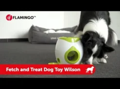 Flamingo Jouet Chien Wilson Jouet Automatique De Balle Et Friandises Interactif+ Balle De Tennis 18cm -Magasin De Fournitures Pour Animaux Et Chiens De Qualité hqdefault 3