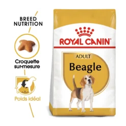 Royal Canin Beagle Adult Pour Chien 12kg -Magasin De Fournitures Pour Animaux Et Chiens De Qualité royal canin beagle adult beagle adulte 1