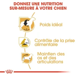 Royal Canin Beagle Adult Pour Chien 12kg -Magasin De Fournitures Pour Animaux Et Chiens De Qualité royal canin beagle adult beagle adulte 2