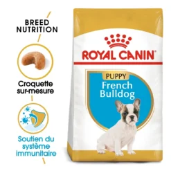 Royal Canin French Bulldog Chiot Pour Chien 10kg -Magasin De Fournitures Pour Animaux Et Chiens De Qualité royal canin bouledogue francais puppy bouledogue francais junior 1