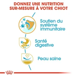 Royal Canin French Bulldog Chiot Pour Chien 10kg -Magasin De Fournitures Pour Animaux Et Chiens De Qualité royal canin bouledogue francais puppy bouledogue francais junior 2