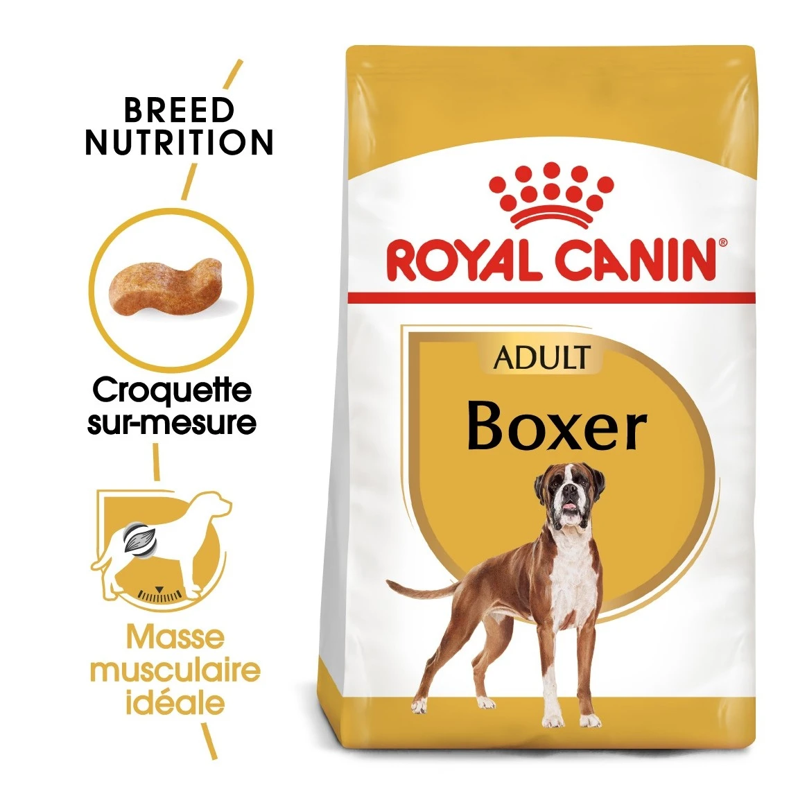 Royal Canin Boxer Adult Pour Chien 12kg 3 Royal Canin Boxer Adult Pour Chien 12kg – Image 3