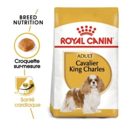 Royal Canin Cavalier King Charles Adult Pour Chien 7,5kg -Magasin De Fournitures Pour Animaux Et Chiens De Qualité royal canin cavalier king charles adult cavalier king charles 1