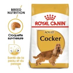 Royal Canin Cocker Adult Pour Chien 12kg -Magasin De Fournitures Pour Animaux Et Chiens De Qualité royal canin cocker adult cocker 1 1
