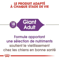 Royal Canin Giant Adult Pour Chien 15kg -Magasin De Fournitures Pour Animaux Et Chiens De Qualité royal canin giant adult giant adult 1
