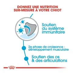 Royal Canin Giant Junior Pour Chien 15kg -Magasin De Fournitures Pour Animaux Et Chiens De Qualité royal canin giant junior giant junior 2