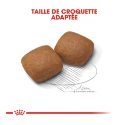 Royal Canin Giant Junior Pour Chien 15kg -Magasin De Fournitures Pour Animaux Et Chiens De Qualité royal canin giant junior giant junior 3