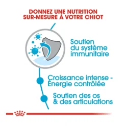 Royal Canin Giant Puppy Pour Chien 15kg -Magasin De Fournitures Pour Animaux Et Chiens De Qualité royal canin giant puppy giant puppy 2