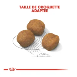 Royal Canin Giant Puppy Pour Chien 15kg -Magasin De Fournitures Pour Animaux Et Chiens De Qualité royal canin giant puppy giant puppy 3