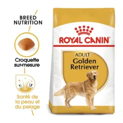 Royal Canin Golden Retriever Adult Pour Chien 12kg 7 Royal Canin Golden Retriever Adult Pour Chien 12kg -Magasin De Fournitures Pour Animaux Et Chiens De Qualité royal canin golden retriever adult croquettes pour chien golden retriever 1