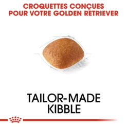 Royal Canin Golden Retriever Adult Pour Chien 12kg 9 Royal Canin Golden Retriever Adult Pour Chien 12kg -Magasin De Fournitures Pour Animaux Et Chiens De Qualité royal canin golden retriever adult croquettes pour chien golden retriever 3