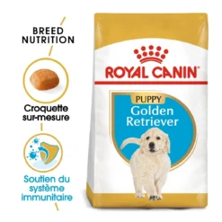 Royal Canin Golden Retriever Chiot Pour Chien 12kg -Magasin De Fournitures Pour Animaux Et Chiens De Qualité royal canin golden retriever puppy golden retriever junior 1