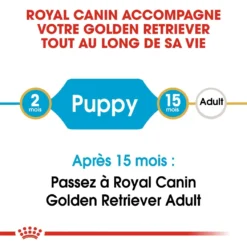 Royal Canin Golden Retriever Chiot Pour Chien 12kg -Magasin De Fournitures Pour Animaux Et Chiens De Qualité royal canin golden retriever puppy golden retriever junior 3