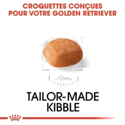Royal Canin Golden Retriever Chiot Pour Chien 12kg -Magasin De Fournitures Pour Animaux Et Chiens De Qualité royal canin golden retriever puppy golden retriever junior 4