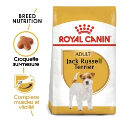 Royal Canin Jack Russell Adult Pour Chien 7,5kg -Magasin De Fournitures Pour Animaux Et Chiens De Qualité royal canin jack russell adult jack russell adulte 1