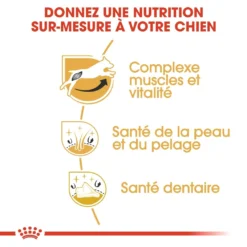 Royal Canin Jack Russell Adult Pour Chien 7,5kg -Magasin De Fournitures Pour Animaux Et Chiens De Qualité royal canin jack russell adult jack russell adulte 2