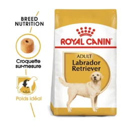 Royal Canin Labrador Retriever Adult Pour Chien 12kg -Magasin De Fournitures Pour Animaux Et Chiens De Qualité royal canin labrador retriever adult croquettes pour chien labrador retriever adulte 1