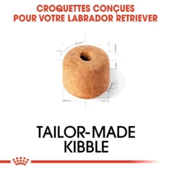 Royal Canin Labrador Retriever Adult Pour Chien 12kg -Magasin De Fournitures Pour Animaux Et Chiens De Qualité royal canin labrador retriever adult croquettes pour chien labrador retriever adulte 3