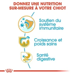 Royal Canin Labrador Retriever Chiot Pour Chien 12kg 7 Royal Canin Labrador Retriever Chiot Pour Chien 12kg -Magasin De Fournitures Pour Animaux Et Chiens De Qualité royal canin labrador retriever puppy labrador retriever junior 2