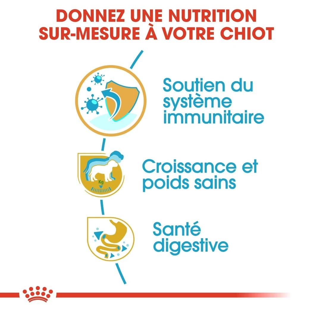 Royal Canin Labrador Retriever Chiot Pour Chien 12kg 3 Royal Canin Labrador Retriever Chiot Pour Chien 12kg – Image 3