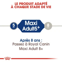 Royal Canin Maxi Adult 5+ Pour Chien 10kg -Magasin De Fournitures Pour Animaux Et Chiens De Qualité royal canin maxi adult croquettes pour chien maxi adult 2 1