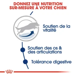 Royal Canin Maxi Adult 5+ Pour Chien 4kg 7 Royal Canin Maxi Adult 5+ Pour Chien 4kg -Magasin De Fournitures Pour Animaux Et Chiens De Qualité royal canin maxi adult croquettes pour chien maxi adult 3