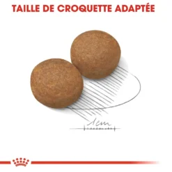 Royal Canin Maxi Adult Pour Chien 15kg -Magasin De Fournitures Pour Animaux Et Chiens De Qualité royal canin maxi adult croquettes pour chien maxi adult 3
