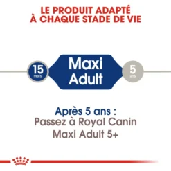 Royal Canin Maxi Adult Pour Chien 15kg -Magasin De Fournitures Pour Animaux Et Chiens De Qualité royal canin maxi adult croquettes pour chien maxi adult 4