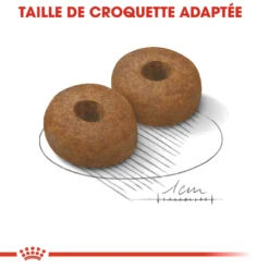 Royal Canin Maxi Ageing 8+ Pour Chien 15kg -Magasin De Fournitures Pour Animaux Et Chiens De Qualité royal canin maxi ageing croquettes pour chien maxi ageing 2