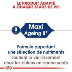 Royal Canin Maxi Ageing 8+ Pour Chien 15kg -Magasin De Fournitures Pour Animaux Et Chiens De Qualité royal canin maxi ageing croquettes pour chien maxi ageing 3