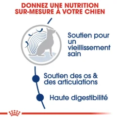Royal Canin Maxi Ageing 8+ Pour Chien 15kg -Magasin De Fournitures Pour Animaux Et Chiens De Qualité royal canin maxi ageing croquettes pour chien maxi ageing 4