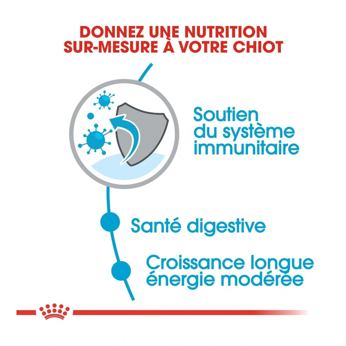 Royal Canin Maxi Chiot Pour Chien 10kg 2 Royal Canin Maxi Chiot Pour Chien 10kg – Image 2