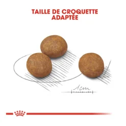 Royal Canin Maxi Chiot Pour Chien 15kg -Magasin De Fournitures Pour Animaux Et Chiens De Qualité royal canin maxi puppy croquettes pour chiot maxi puppy 3