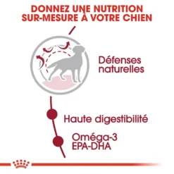 Royal Canin Medium Adult Pour Chien 15kg -Magasin De Fournitures Pour Animaux Et Chiens De Qualité royal canin medium adult croquettes pour chien medium adult 2