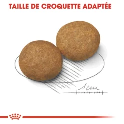 Royal Canin Medium Adult Pour Chien 15kg -Magasin De Fournitures Pour Animaux Et Chiens De Qualité royal canin medium adult croquettes pour chien medium adult 3