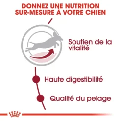 Royal Canin Medium Adult 7+ Pour Chien 15kg 9 Royal Canin Medium Adult 7+ Pour Chien 15kg -Magasin De Fournitures Pour Animaux Et Chiens De Qualité royal canin medium adult medium adult 2