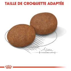 Royal Canin Medium Adult 7+ Pour Chien 15kg 10 Royal Canin Medium Adult 7+ Pour Chien 15kg -Magasin De Fournitures Pour Animaux Et Chiens De Qualité royal canin medium adult medium adult 3