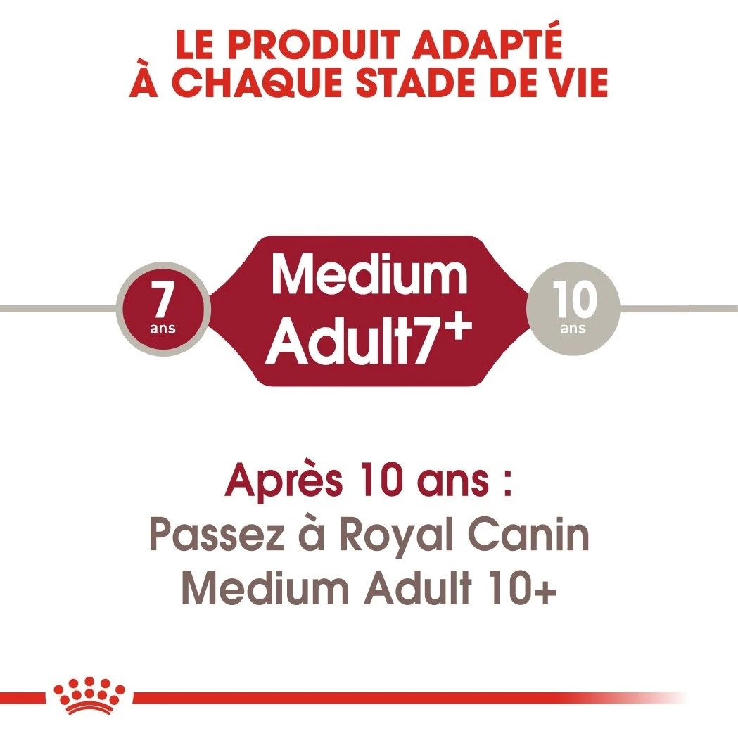 Royal Canin Medium Adult 7+ Pour Chien 15kg 6 Royal Canin Medium Adult 7+ Pour Chien 15kg – Image 6