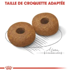 Royal Canin Medium Ageing 10+ Pour Chien 15kg -Magasin De Fournitures Pour Animaux Et Chiens De Qualité royal canin medium ageing medium ageing 2