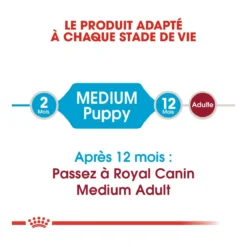 Royal Canin Medium Junior Pour Chien 15kg -Magasin De Fournitures Pour Animaux Et Chiens De Qualité royal canin medium puppy croquettes pour chiot medium puppy 2