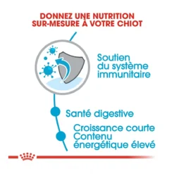 Royal Canin Medium Junior Pour Chien 15kg -Magasin De Fournitures Pour Animaux Et Chiens De Qualité royal canin medium puppy croquettes pour chiot medium puppy 3